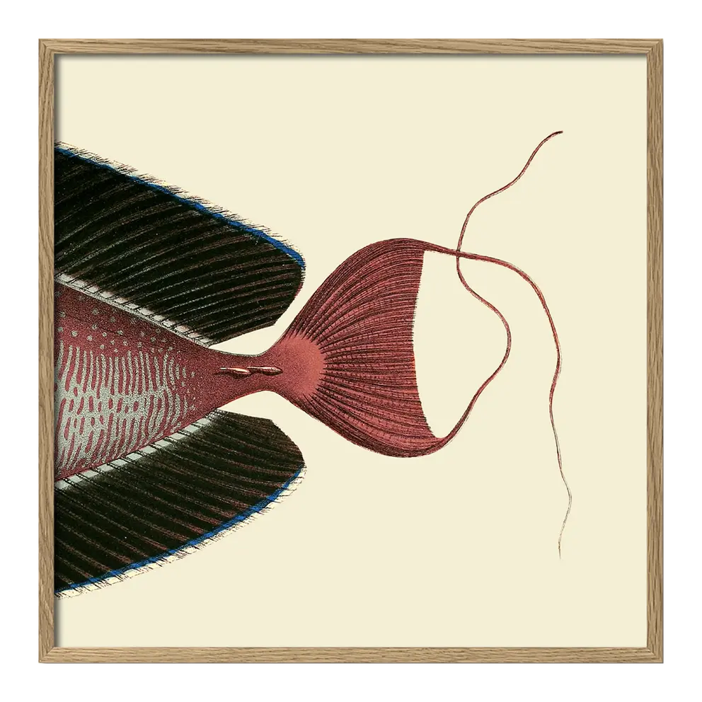 Bild mit Rahmen Botanical