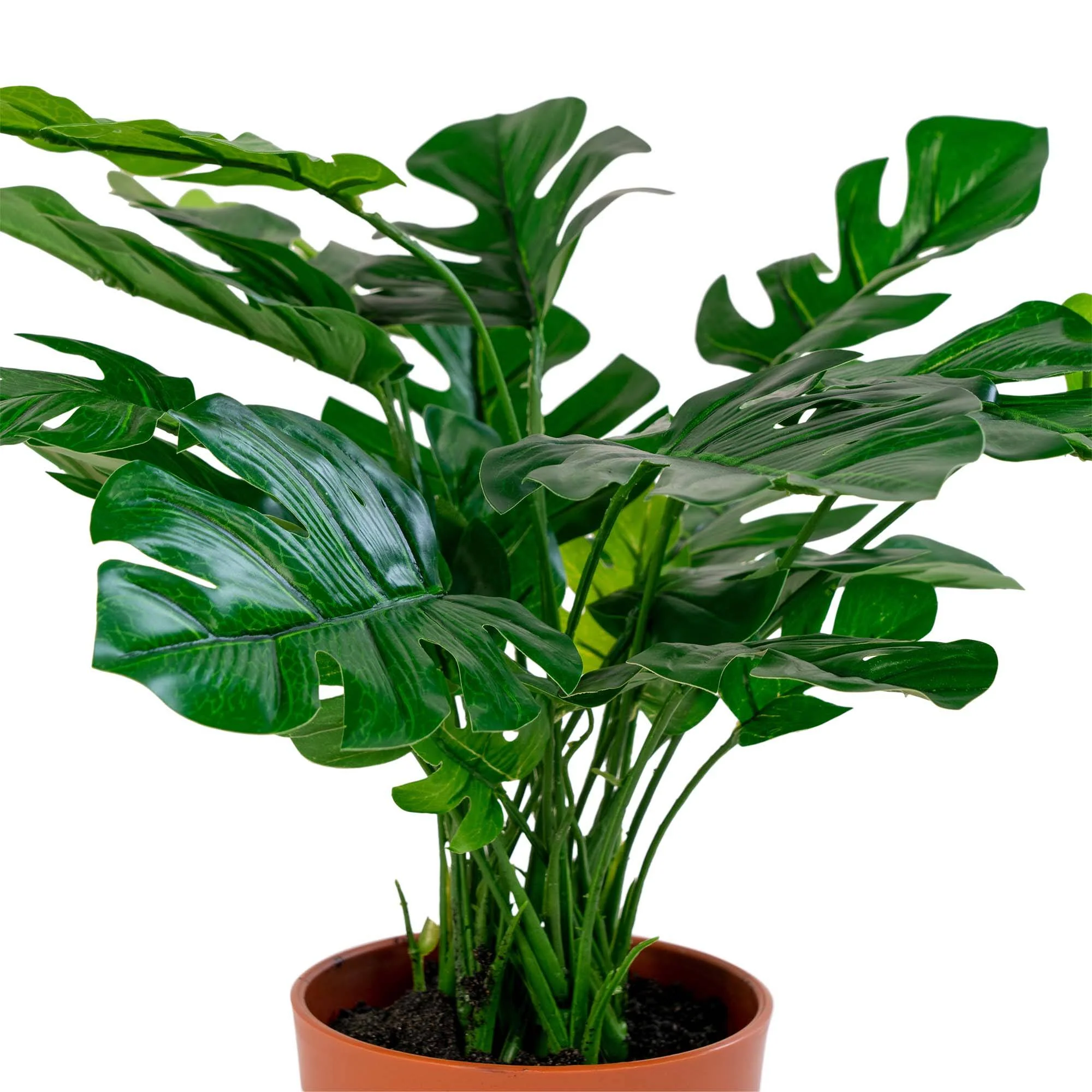 Kunstplant Monstera