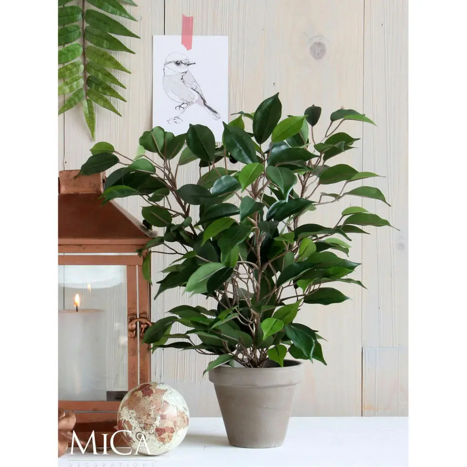 Mica Decorations Kunstplant Ficus - groen - 40 cm - voor binnen