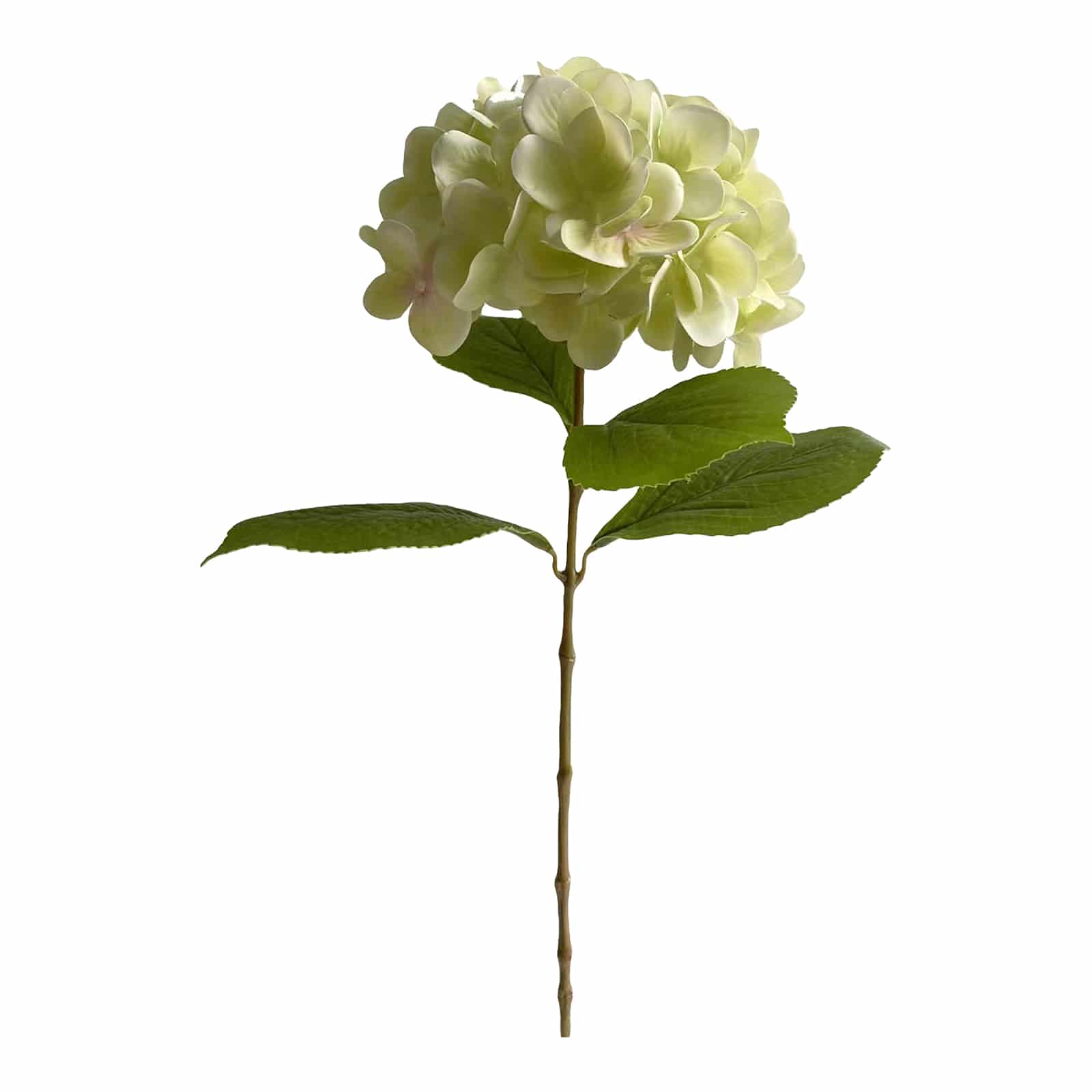 Kunstblume Hortensie Creme,L 600 mm