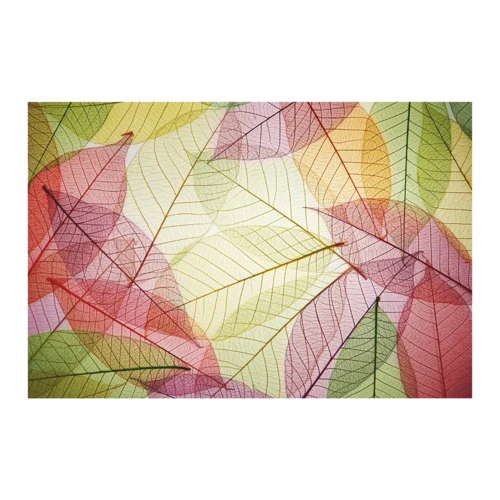 Alu-Dibond Bild Digital Art