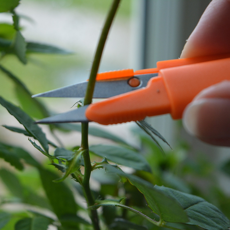 Snip it - minisekatör, orange