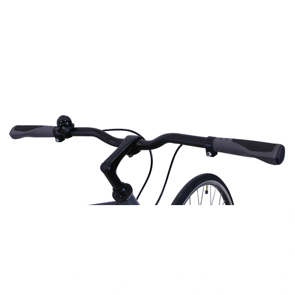Singlespeed-Bike »Urban«, 1-Gang, 28 Zoll