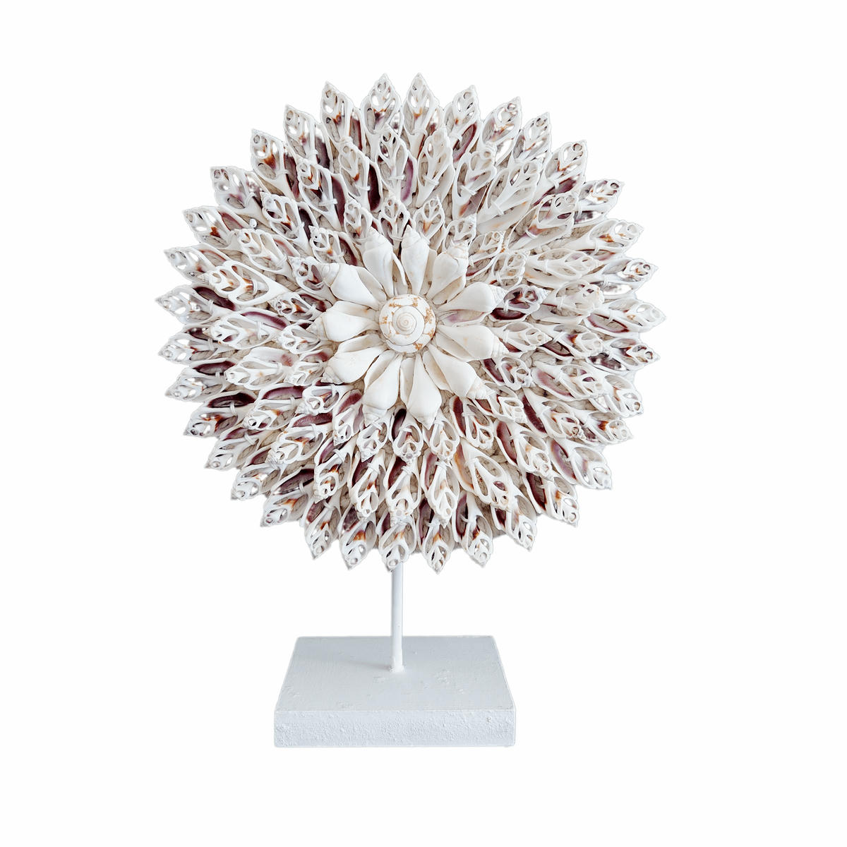 ZARA - Collier décoratif en coquillages, beige/blanc D25 cm