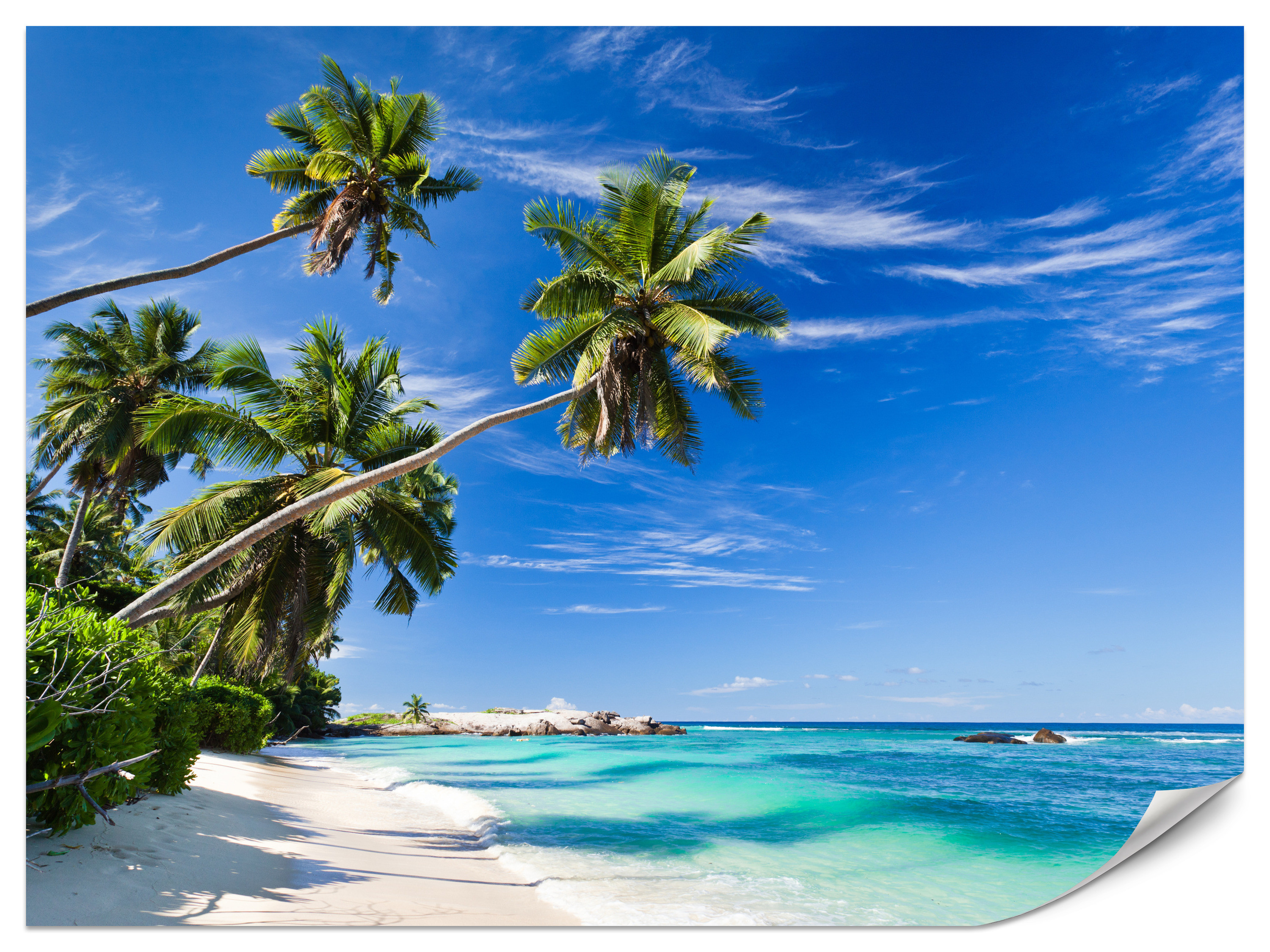Fototapeta Tropikalna plaża 100x70cm