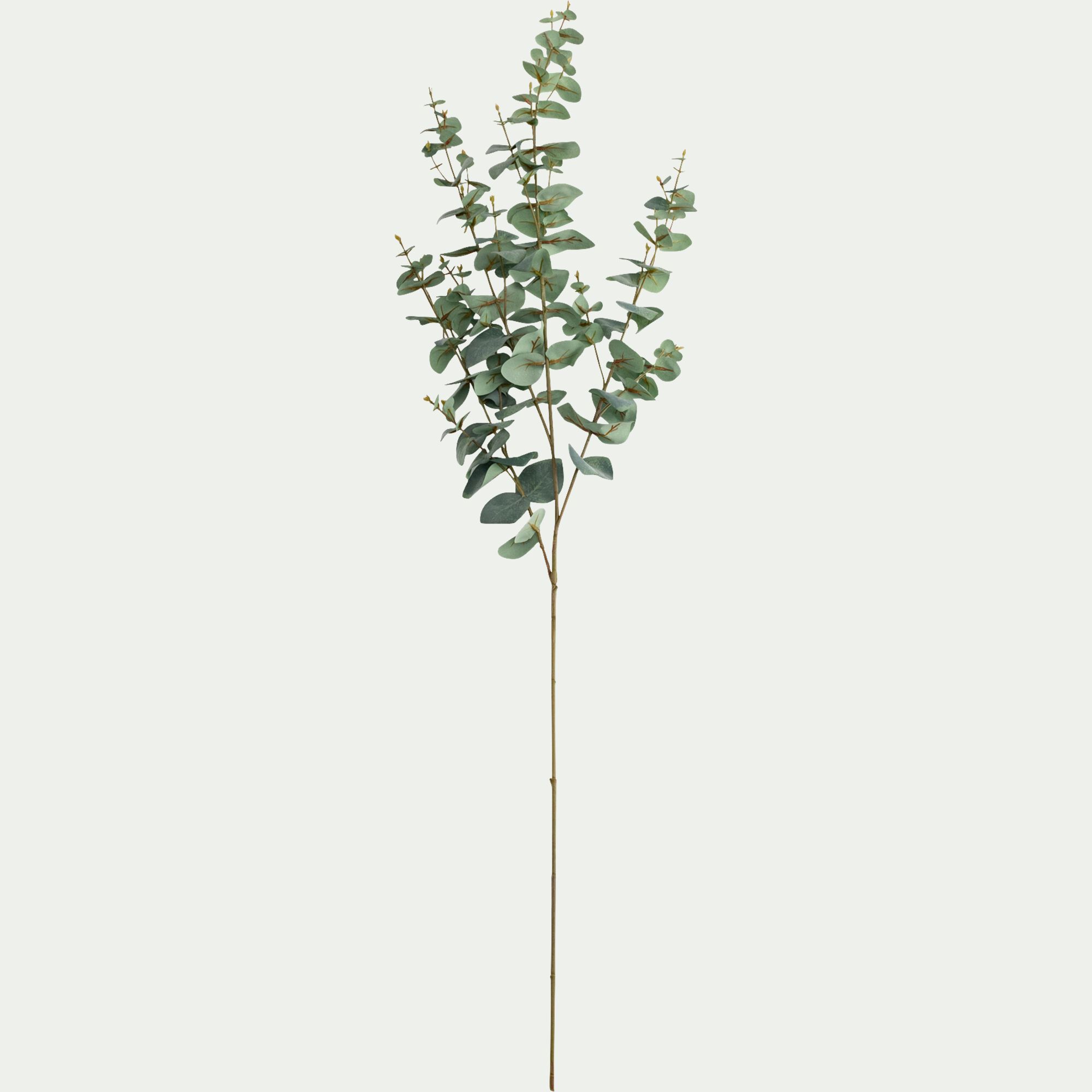 BERILLO - Branche d'eucalyptus artificielle H115cm - vert