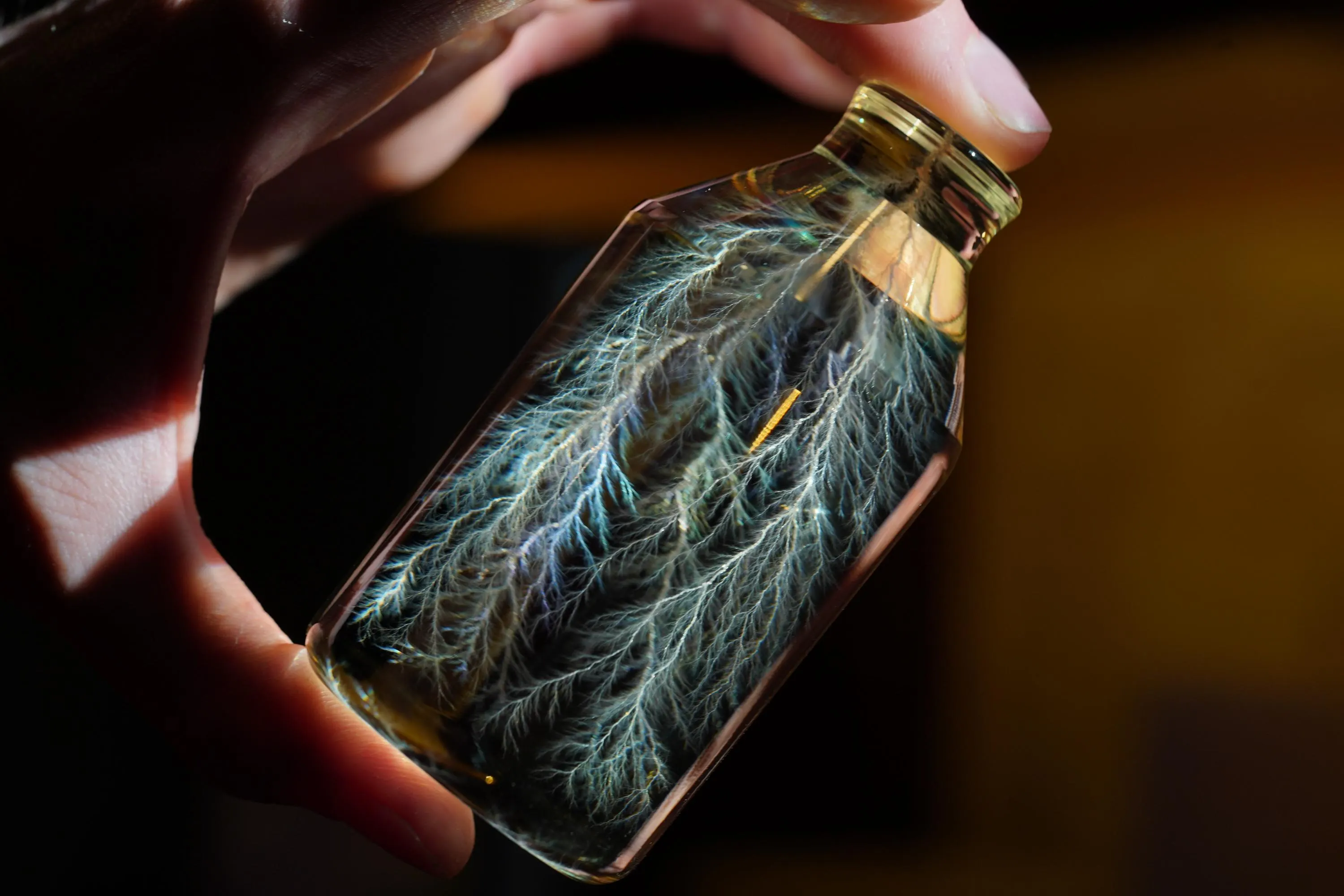 Lightning in a Bottle Acrylic Lichtenberg Figure Physics Sculpture, 3.68” by 1.84”