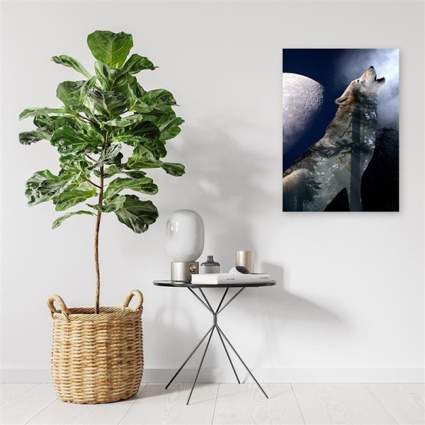 Feeby Obraz Wilk wyjący nocą do księżyca 40x60