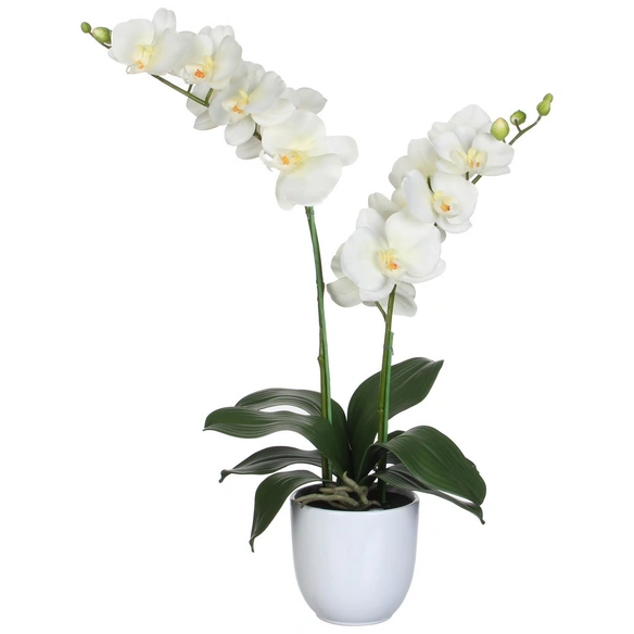 Kunstblume, Phalaenopsis Orchidee, creme