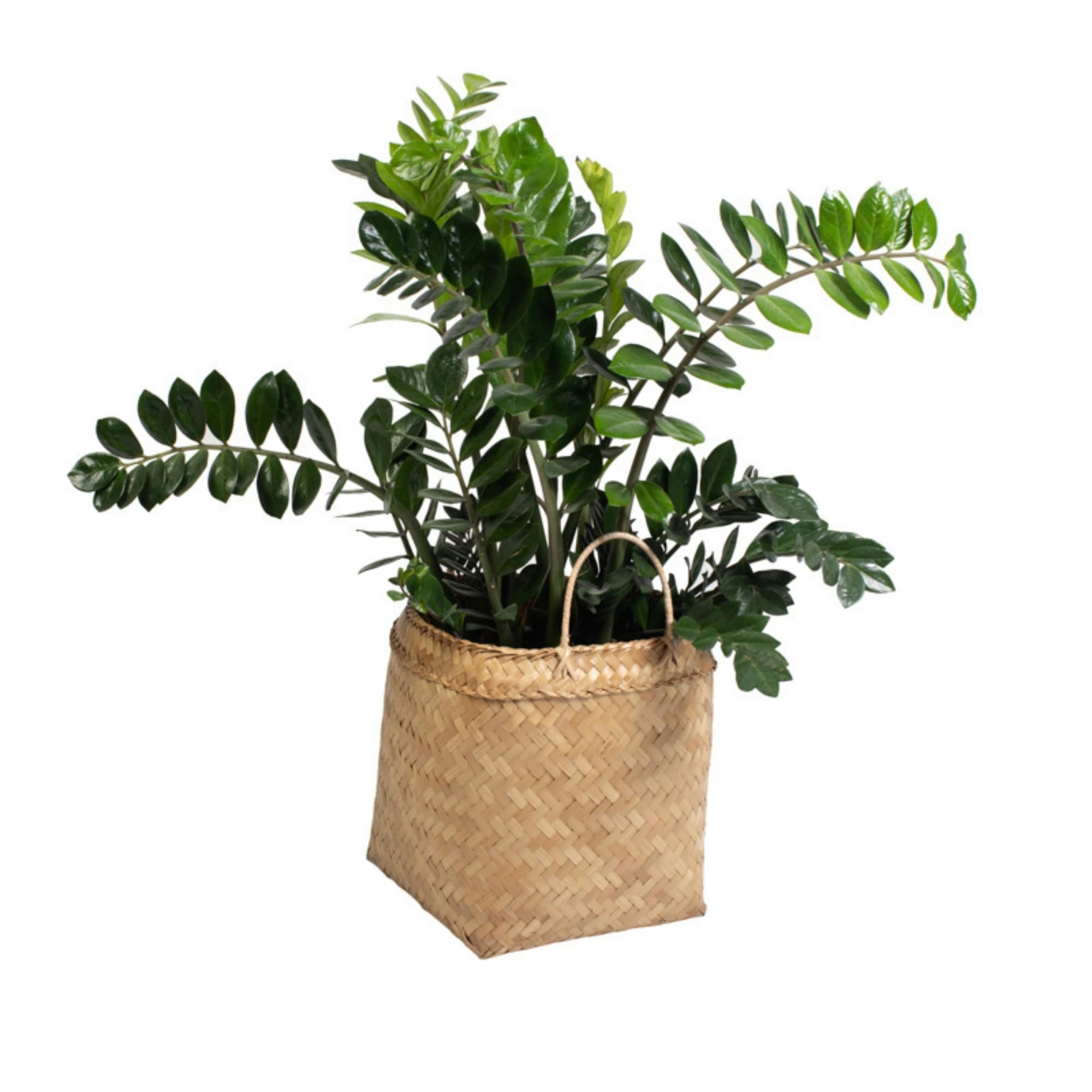 LUCETTE - Panier en bambou H44 avec hanse