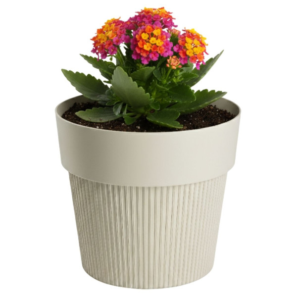Donica plastikowa SILVA LINE beżowa okrągła do domu 13,2 cm