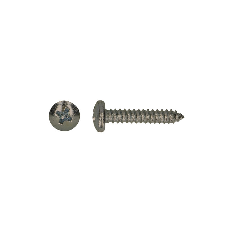 Vis à tôle avec tête cylindrique 4,2 x 25 mm