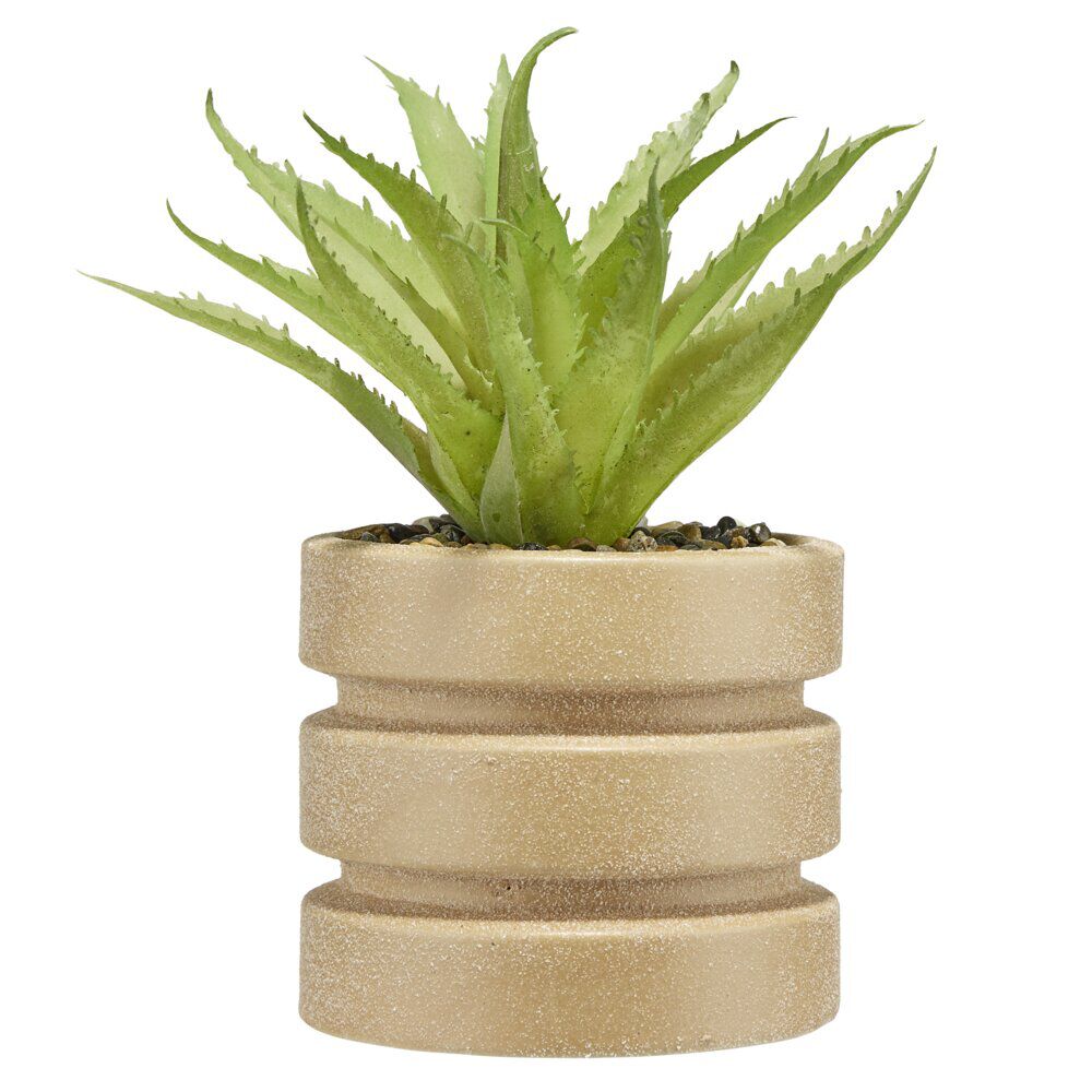 Plante grasse artificielle pot rond céramique beige Ø12xH28cm (2 modèles)