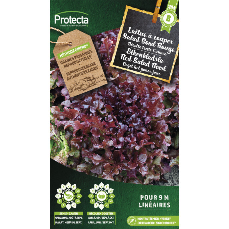 Semences de laitue à couper Salad Bowl Rouge PROTECTA