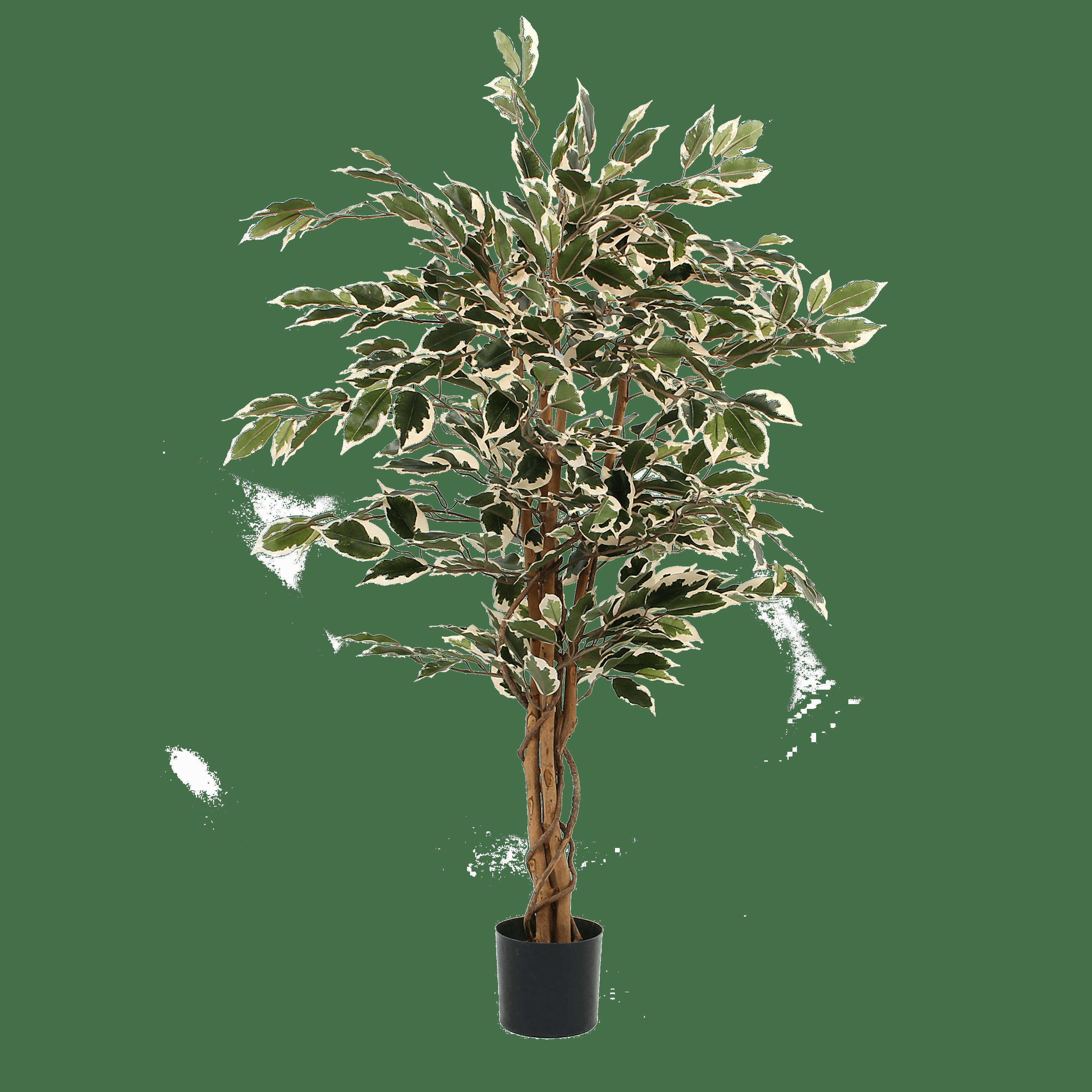 - Ficus artificielle vert panaché en pot H110