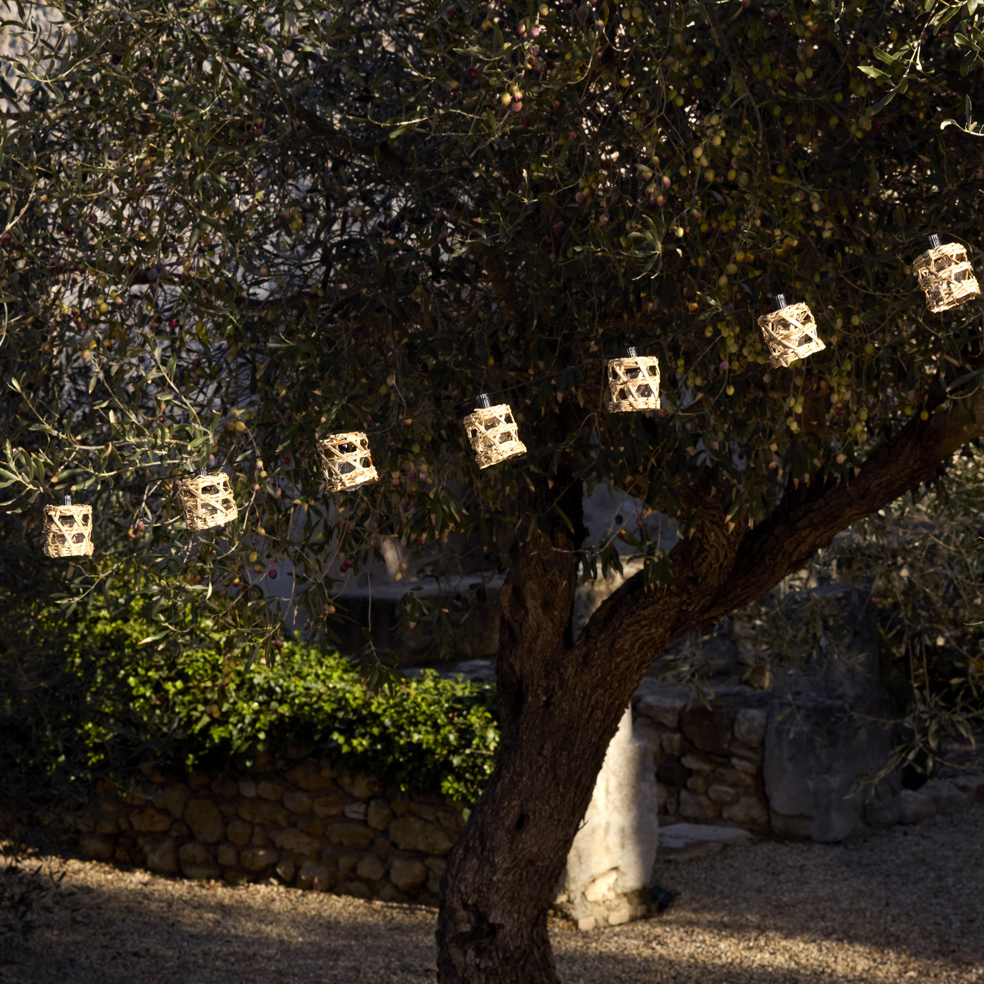 Guirlande lumineuse solaireAu soleil