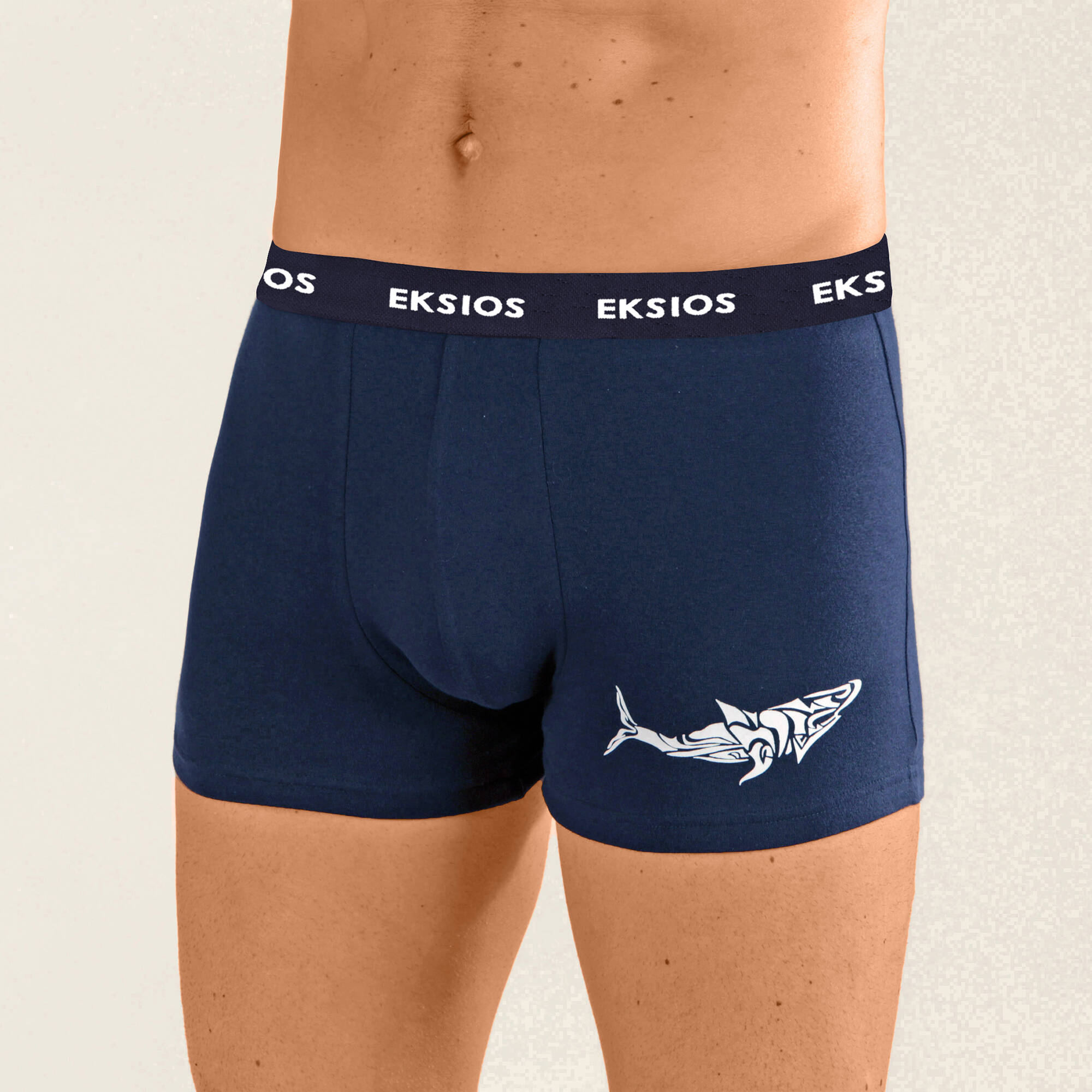 Boxer motif tattoo - lot de 4