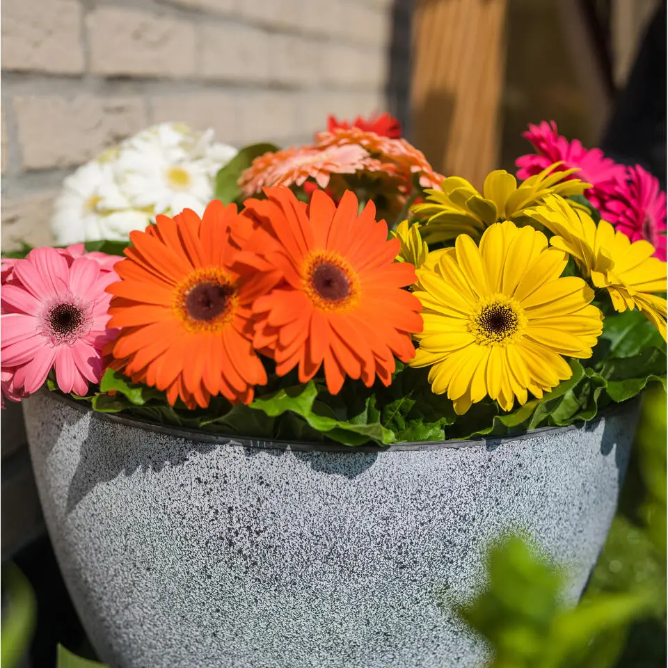 Ter Steege Bloempot/plantenpot - buiten - betongrijs - D13/H12 cm