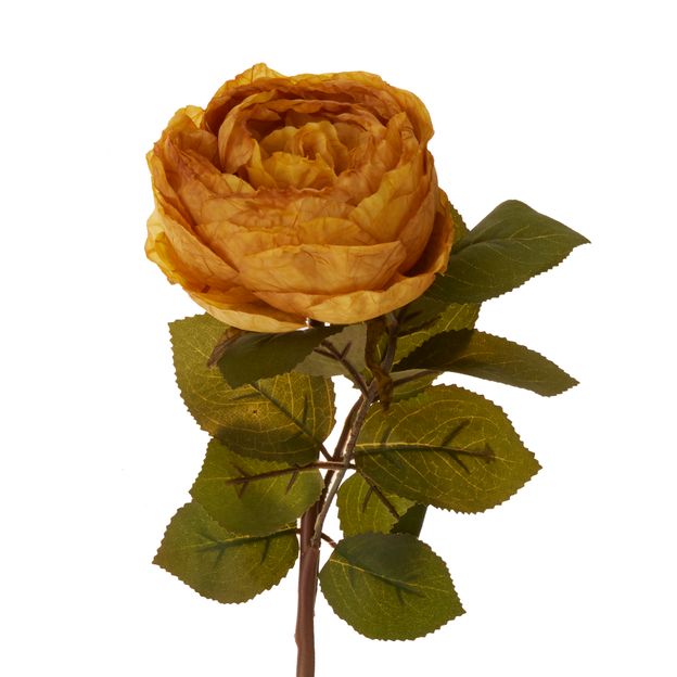 FLOR OLIVIER ROSA OUTONAL