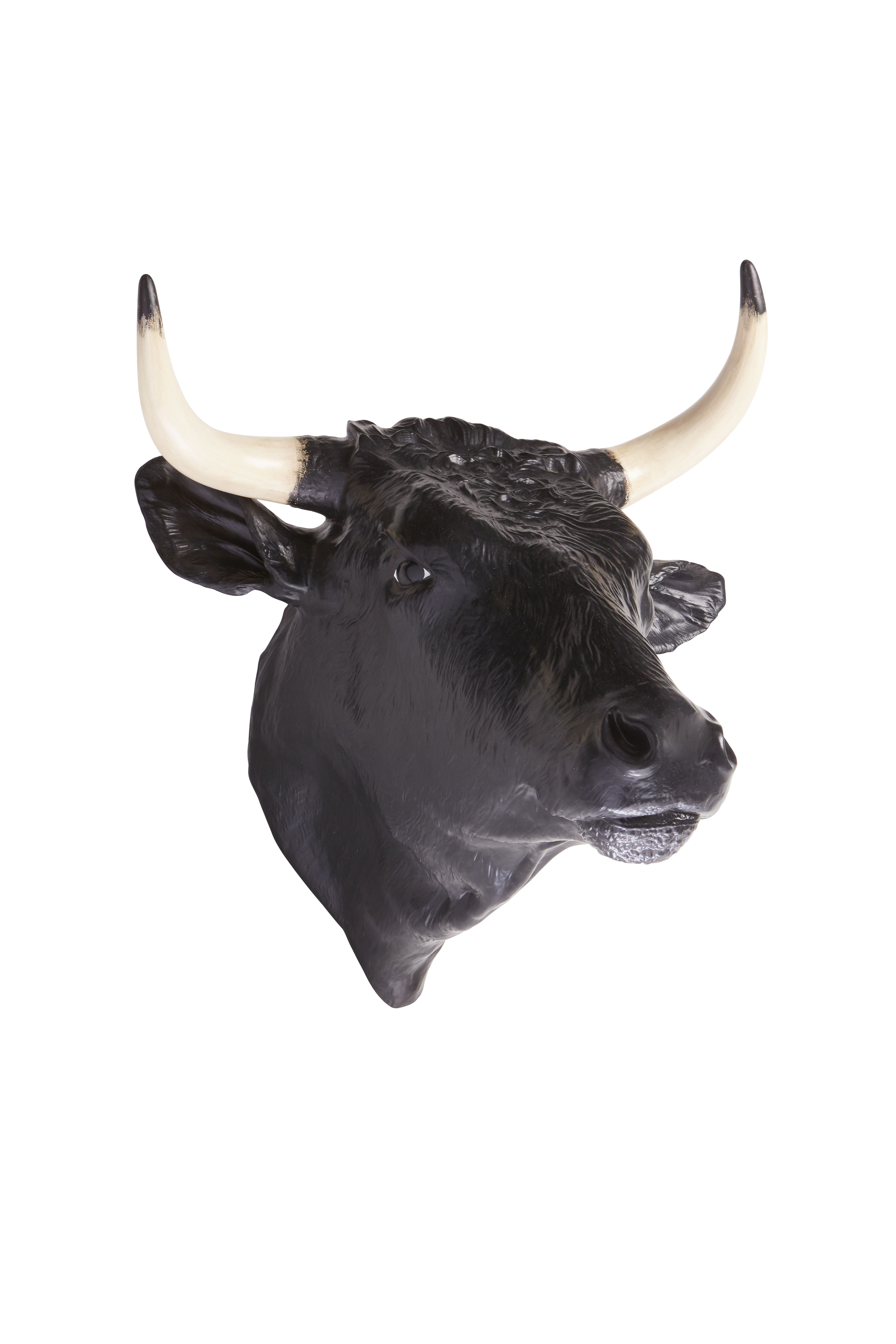 Cabeça Touro