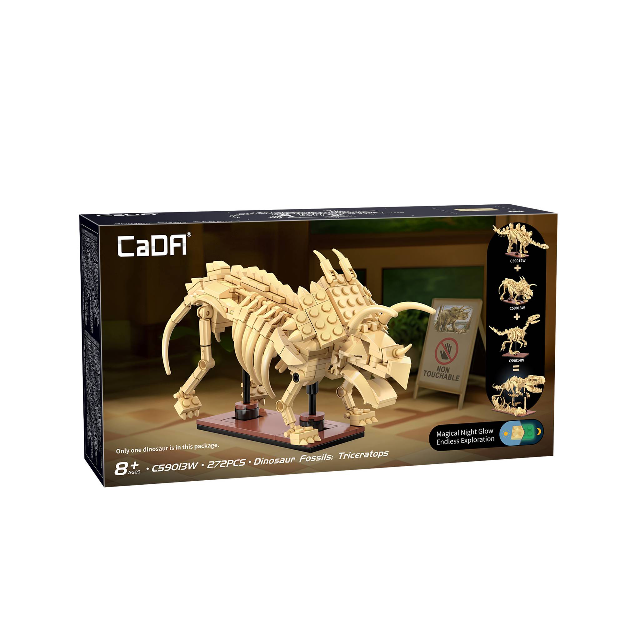CaDA Dinosaur Fossils: Triceratops 272 Pieces