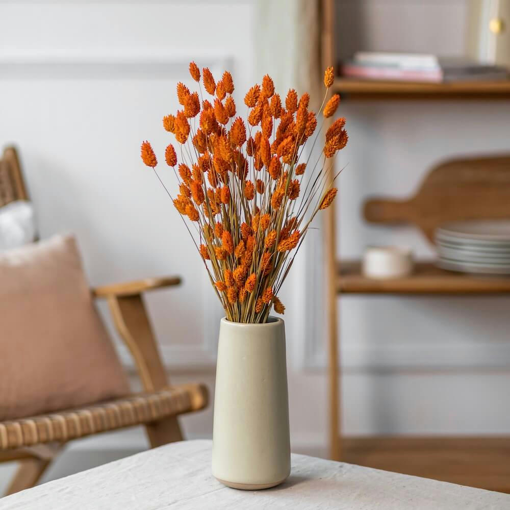 - Botte Phalaris orange