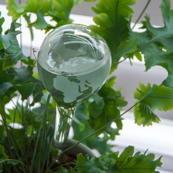 Kula nawadniająca szklana transparentna 20x7 cm globus do doniczki