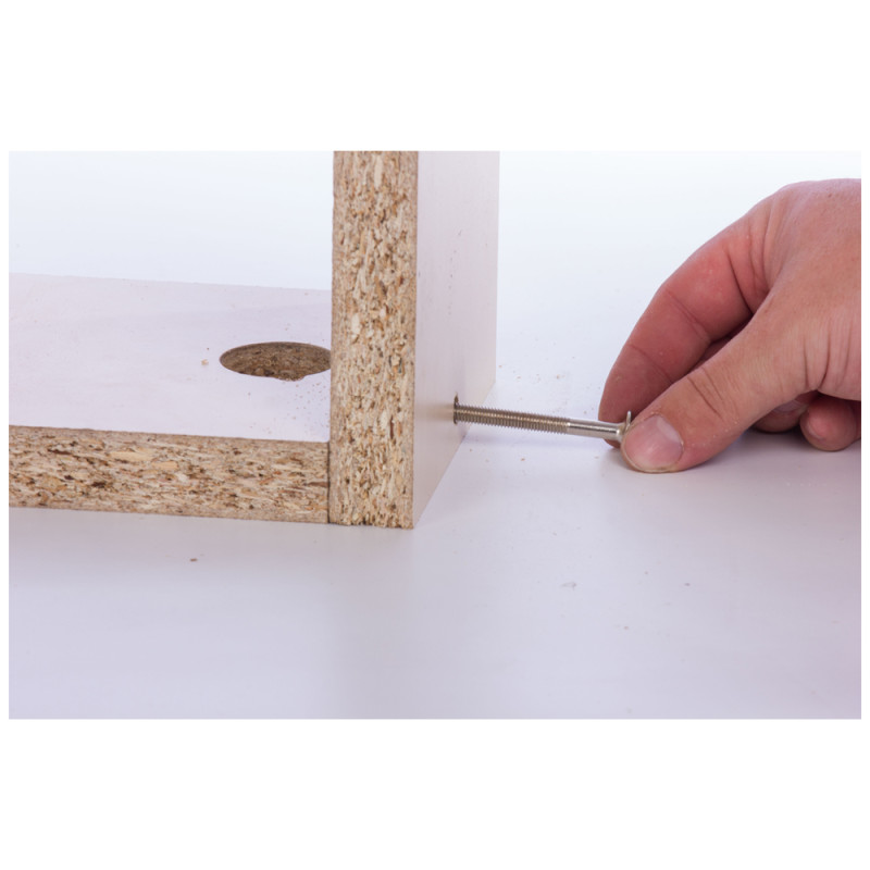 Vis à tête bombée avec plot d'assemblage Ø 6 x 80 mm 4 pièces TEKNIBOX