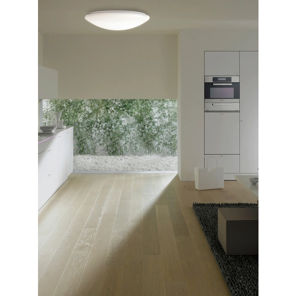LED-Deckenleuchte »Darwin«, dimmbar, inkl. Leuchtmittel in warmweiß