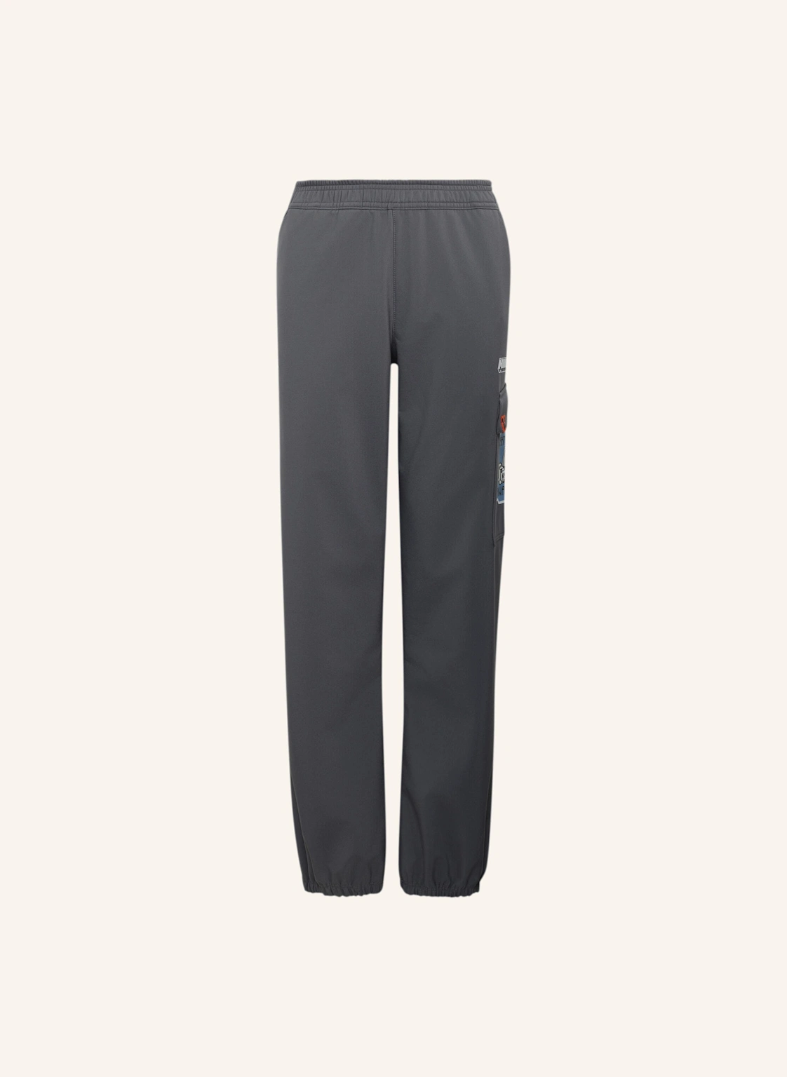 adidas TERREX ADIDAS MINECRAFT TERREX CLIMAWARM SOFTSHELL-HOSE