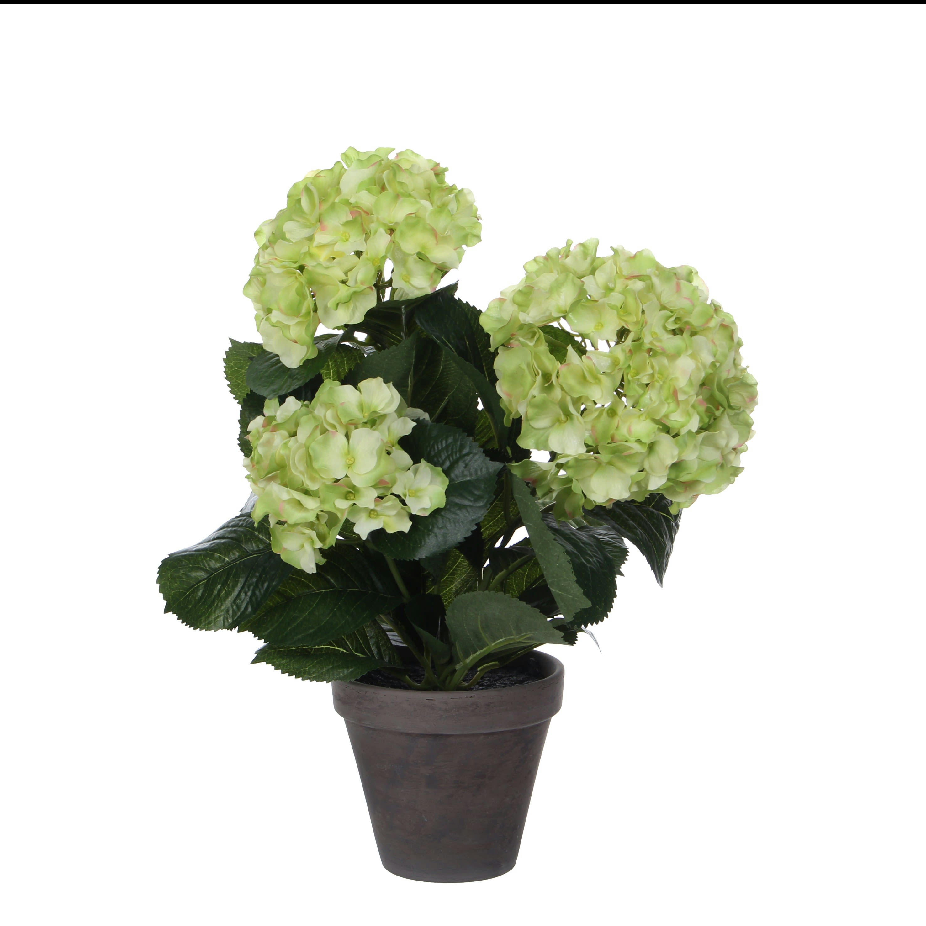 - Hortensia artificielle vert en pot H40