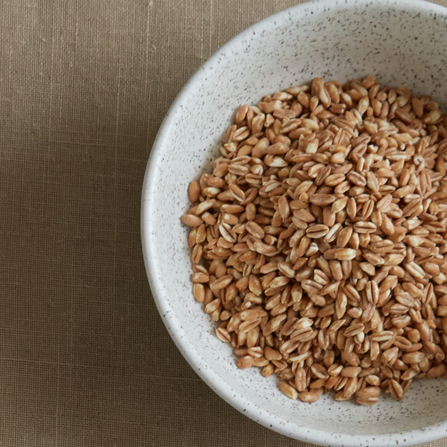 Grain Barley 12 Piece Tableware Set