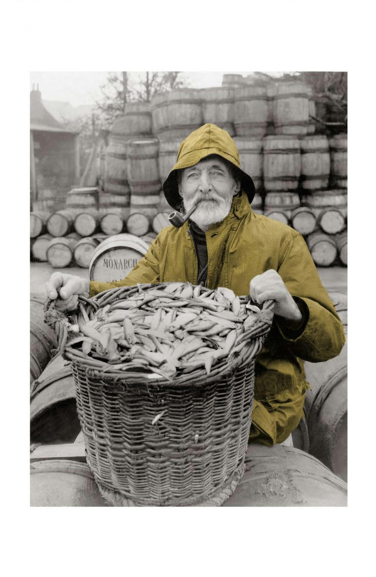KELEPOQ COULEUR - Photo ancienne couleur pêche n°81 alu 70x105cm
