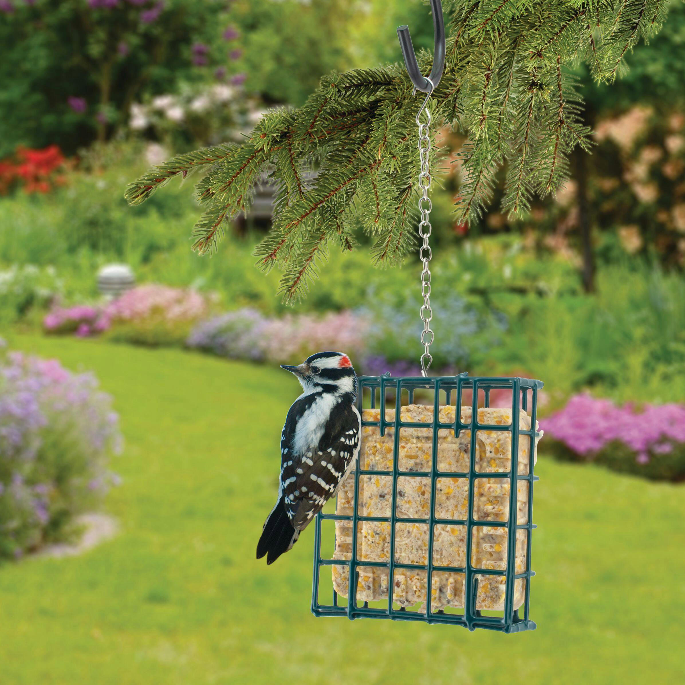 Suet Cage Bird Feeder