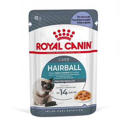 Royal Canin Hairball Care in Jelly