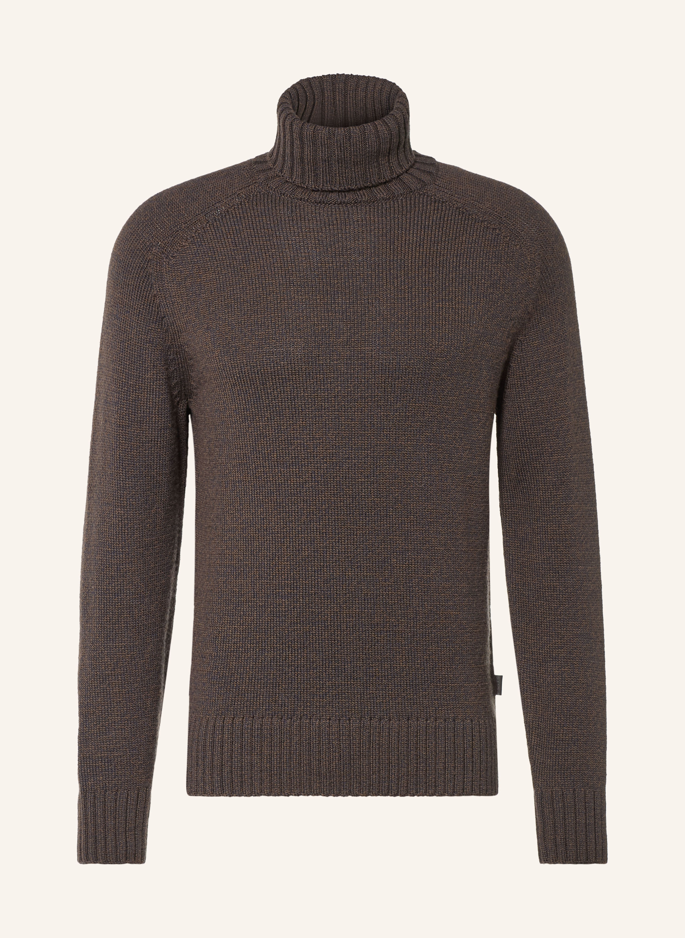GANT Rollkragenpullover