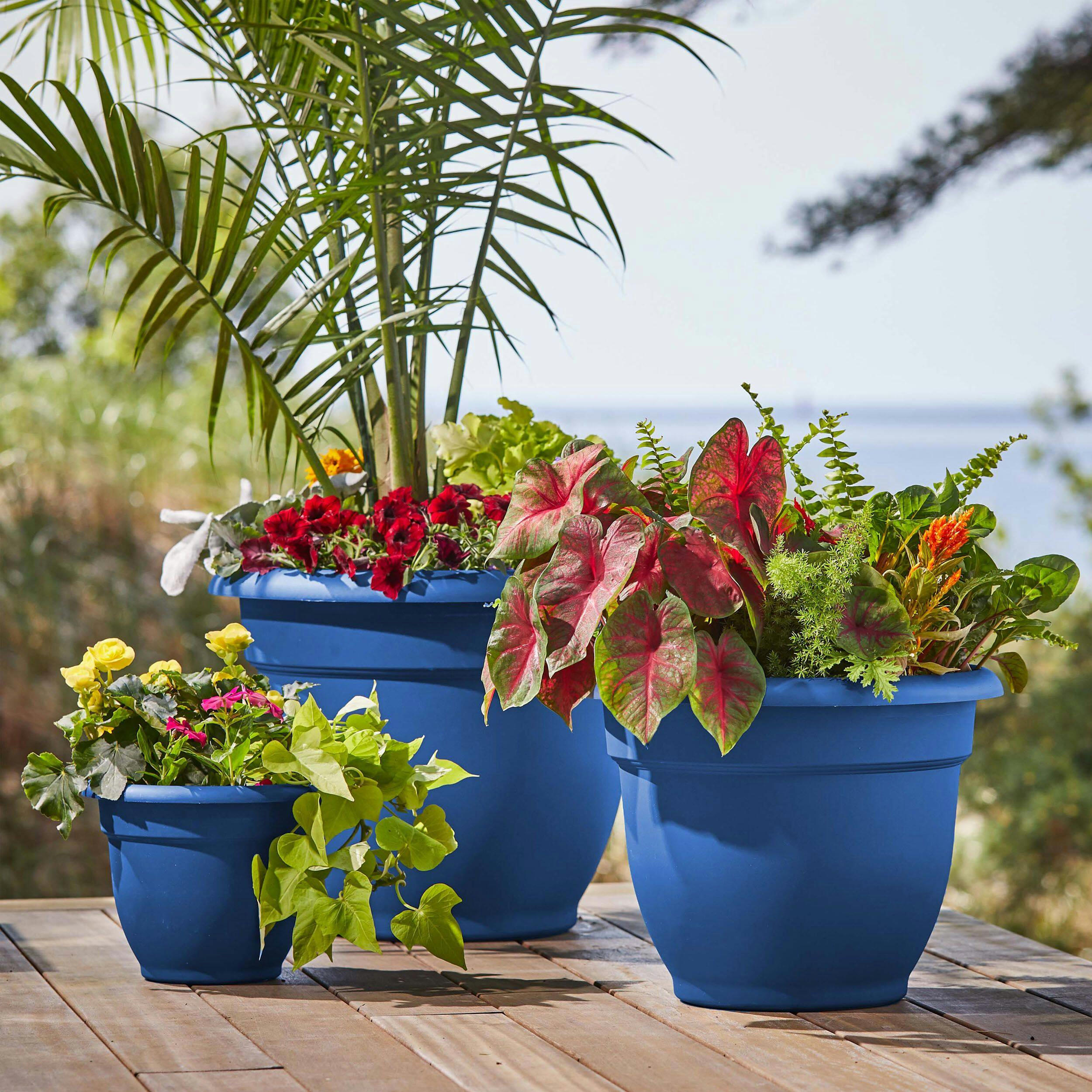 Bloem Ariana Self Watering Plastic Planter, Assorted Sizes, Navy