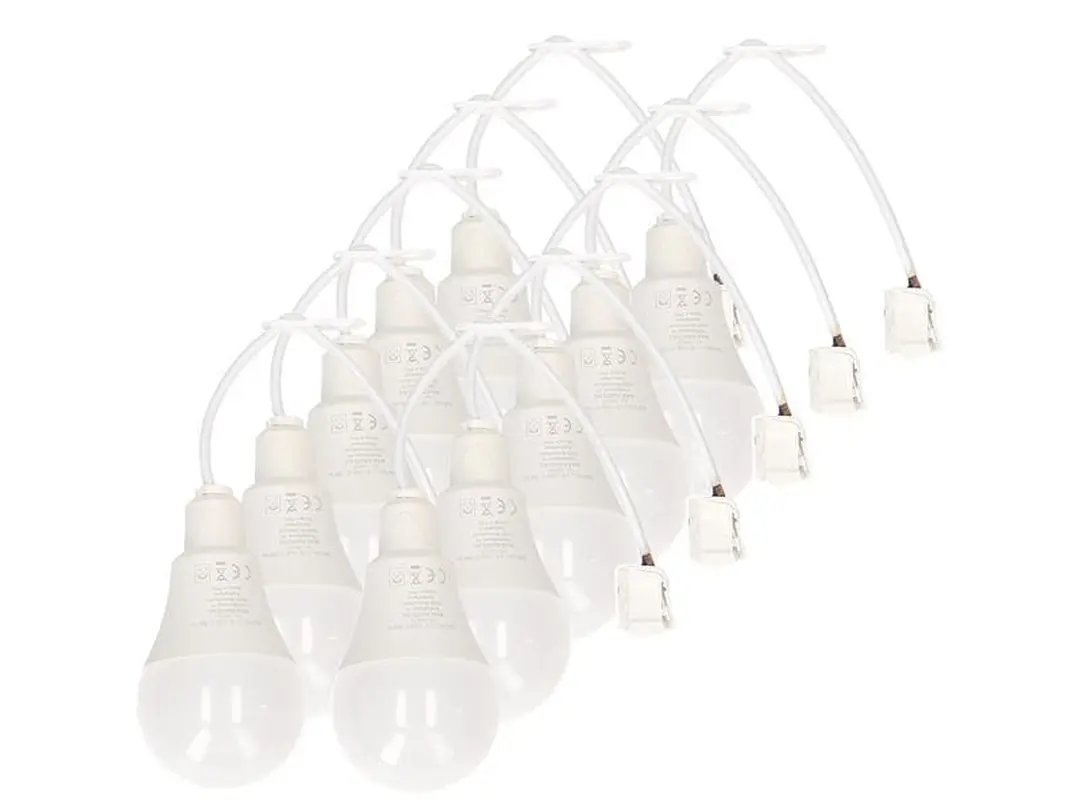 LED 10er-Set Max Hauri