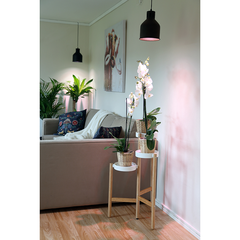 Växtarmatur LED Saga, rost
