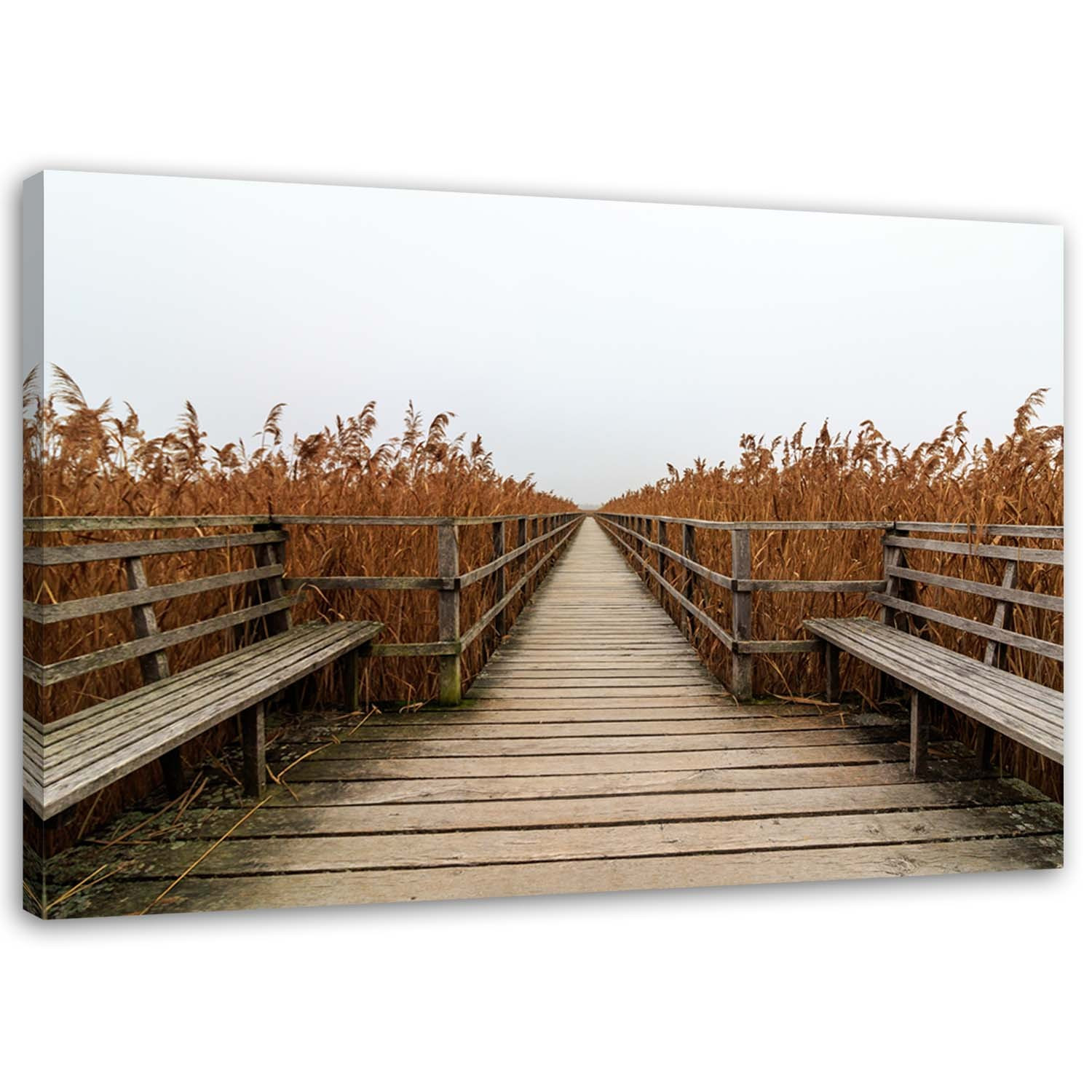 Feeby Obraz na płótnie Pomost trawy plaża pejzaż 60x40