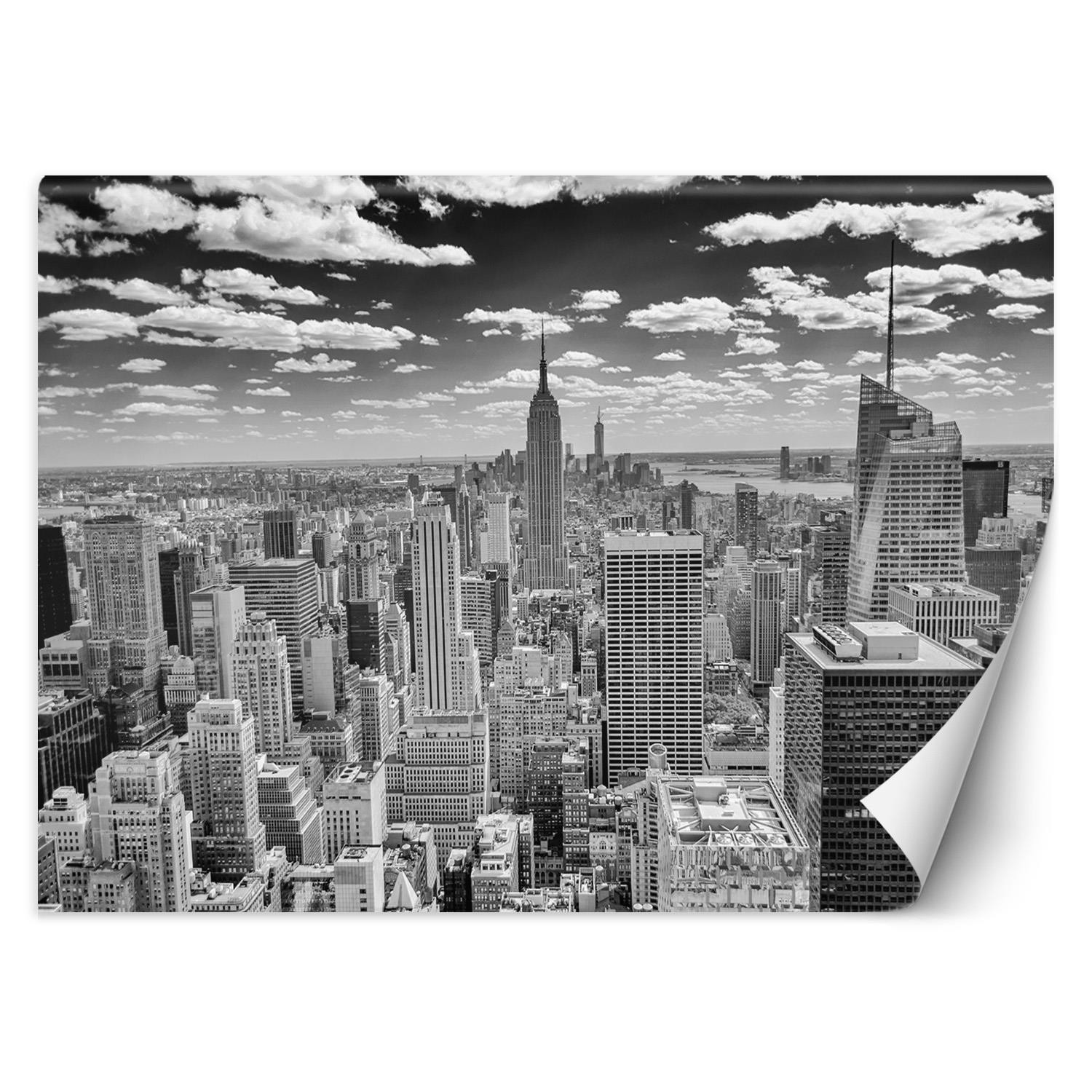Feeby Fototapeta, Manhattan panorama miasta 254x184