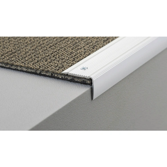 Treppenkantenprofil »NOVA«, BxH: 30 x 20 mm, versenkt gelocht