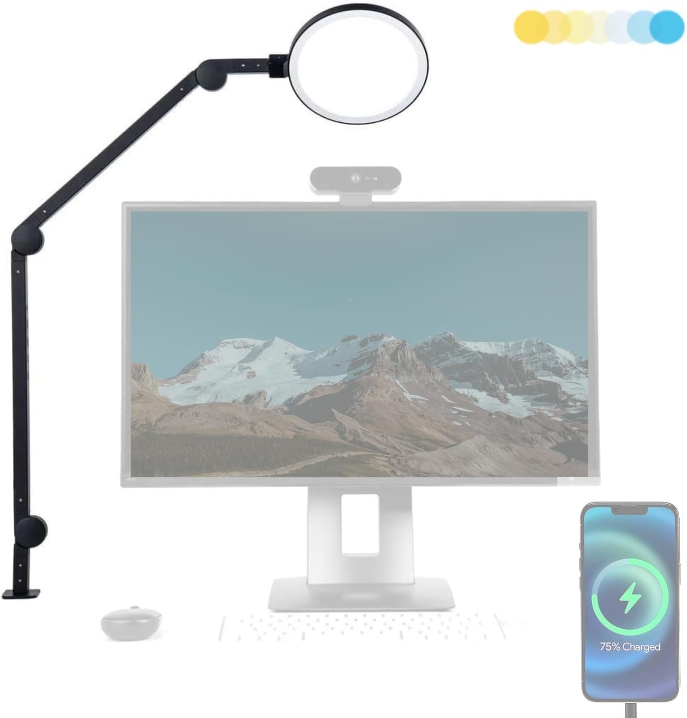 Desk Lamps