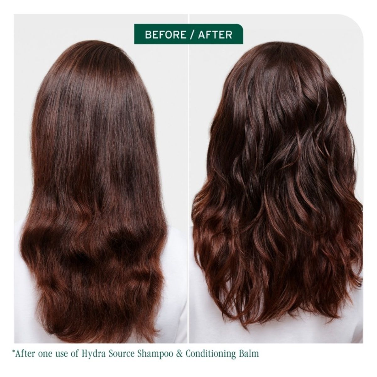 BIOLAGE Hydrasource Shampoo