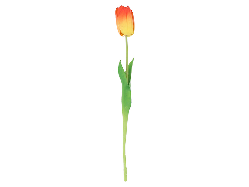 Tulipan pojedynczy 47 cm pomarańczowy