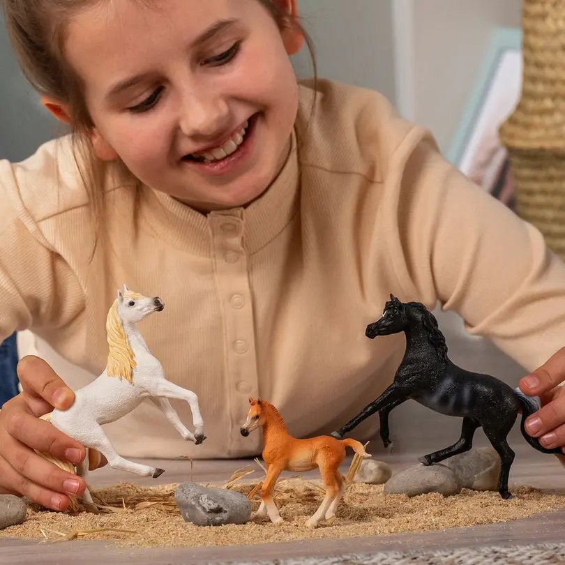 Spielset Horse Club