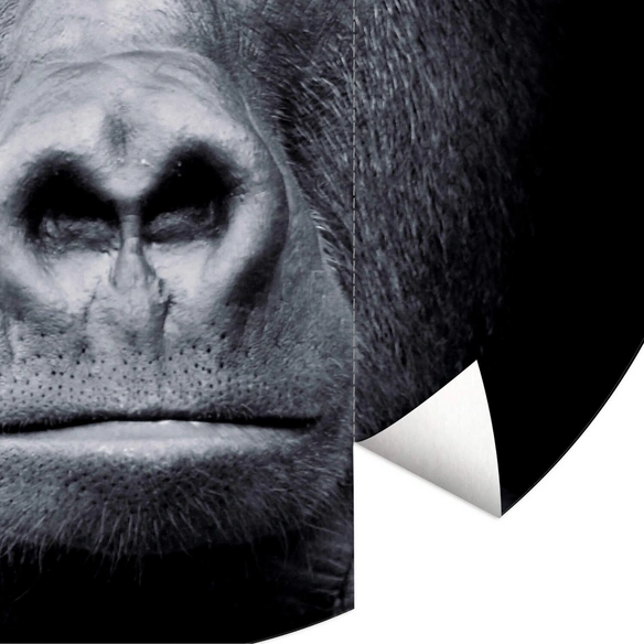 Vliestapete »Runde Vliestapete«, Gorilla Safari schwarz Affe, mehrfarbig, matt