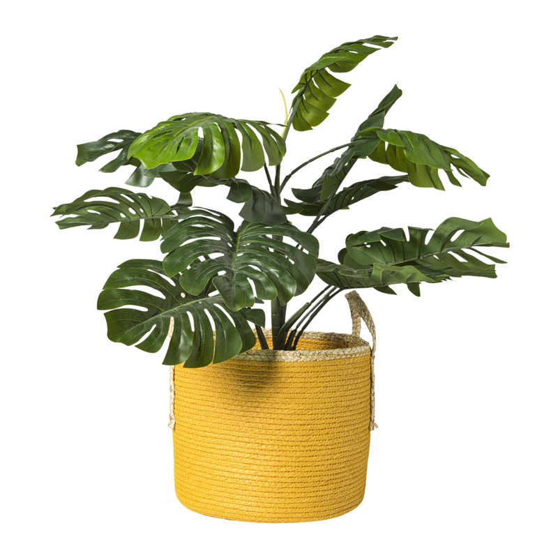 Mand colors - geel/bruin - &Oslash;21x18 cm