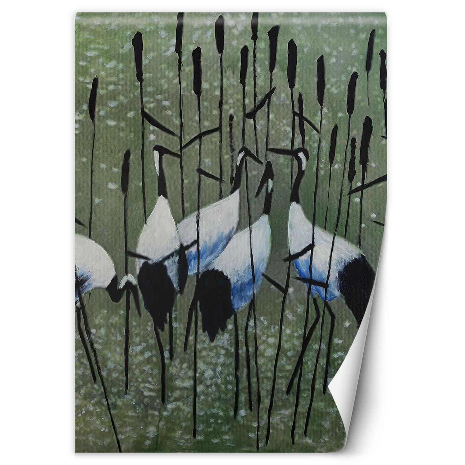 Feeby Fototapeta, Czaple na łące 100x140