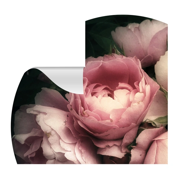 Vliestapete »Rosa«, Blumenmuster, rosa/schwarz, matt